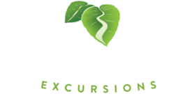 Valley Isle Excursions Dev Kit